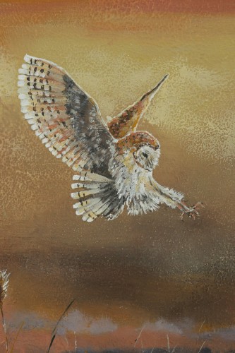 p3.jpg